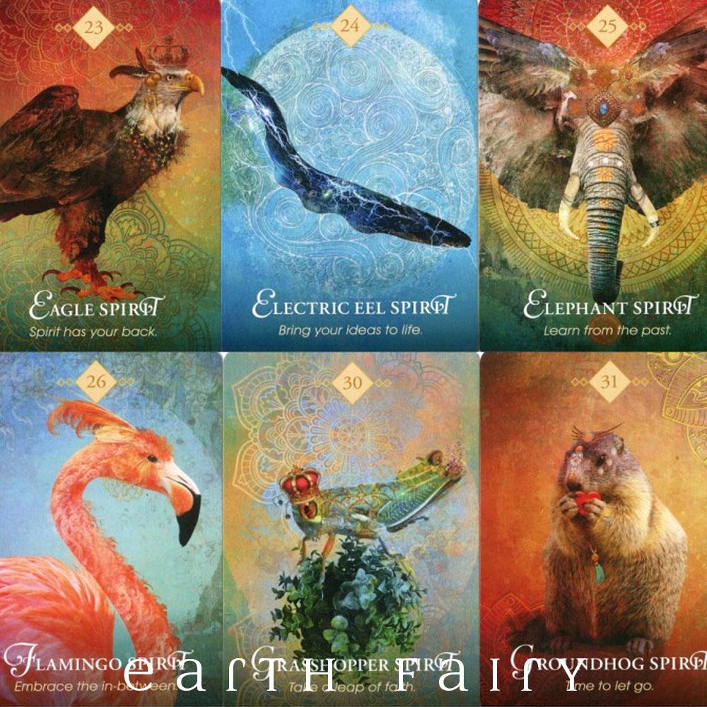 The Spirit Animal Oracle Colette Baron-reid The Spirit Animal Oracle Colette Baron-reid