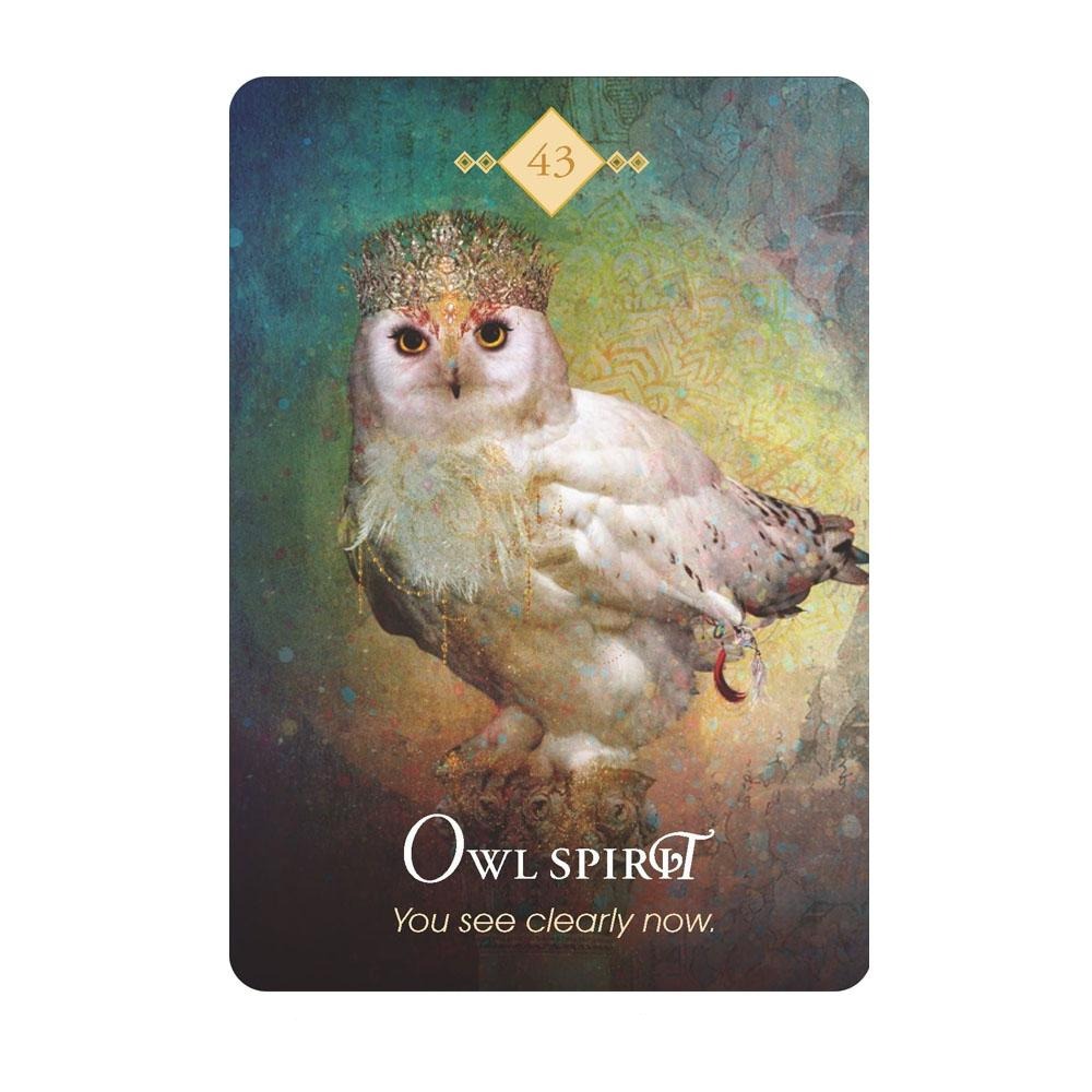 Spirit Animal Oracle Cards by Colette Baron-Reid | Fairy, Oracle &amp; Tarot Cards | Earth Fairy