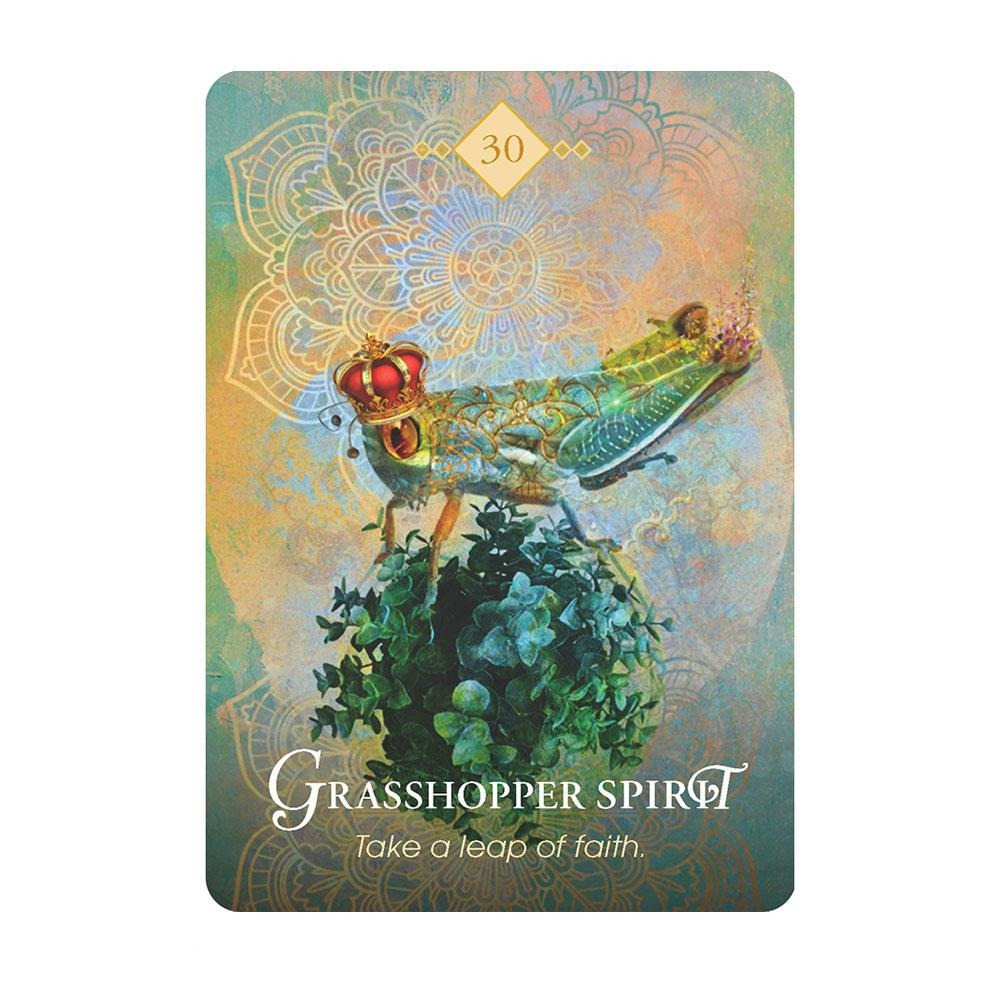 Spirit Animal Oracle Cards by Colette Baron-Reid | Fairy, Oracle &amp; Tarot Cards | Earth Fairy
