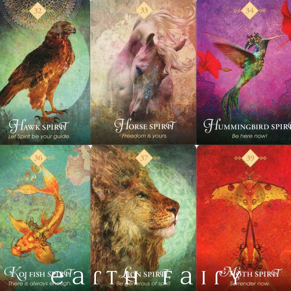 The Spirit Animal Oracle Colette Baron-reid The Spirit Animal Oracle Colette Baron-reid