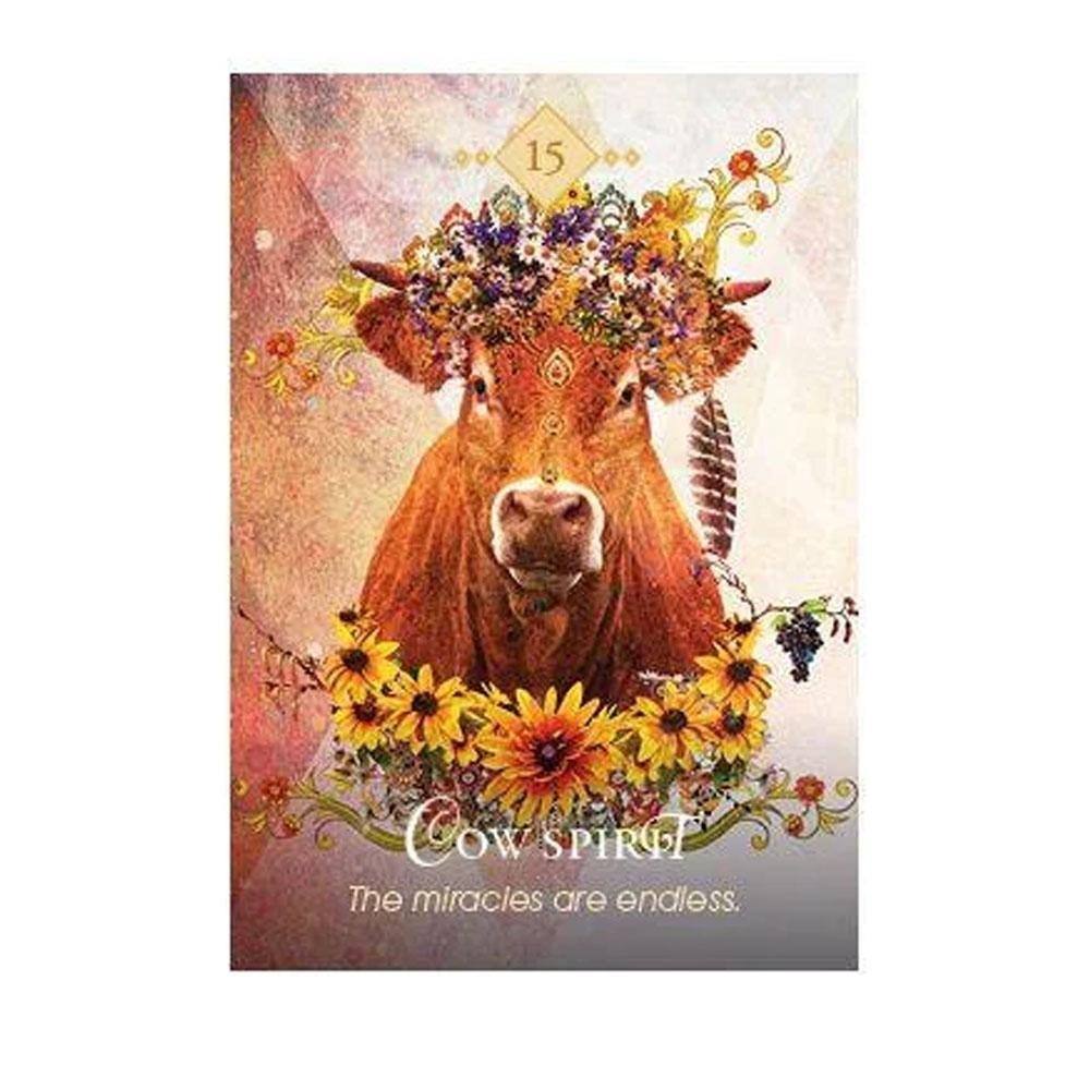 Spirit Animal Oracle Cards by Colette Baron-Reid | Fairy, Oracle &amp; Tarot Cards | Earth Fairy