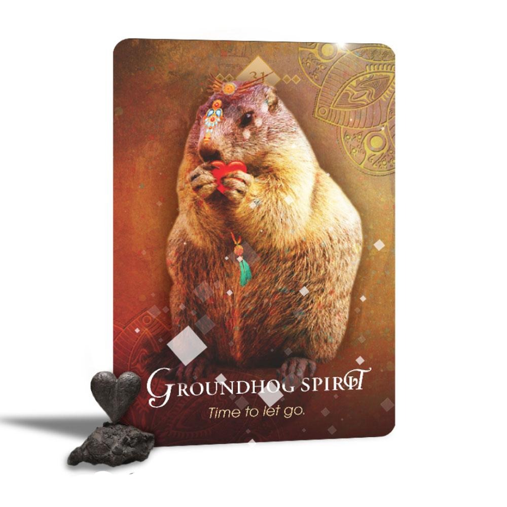 Spirit Animal Oracle Cards by Colette Baron-Reid | Fairy, Oracle &amp; Tarot Cards | Earth Fairy