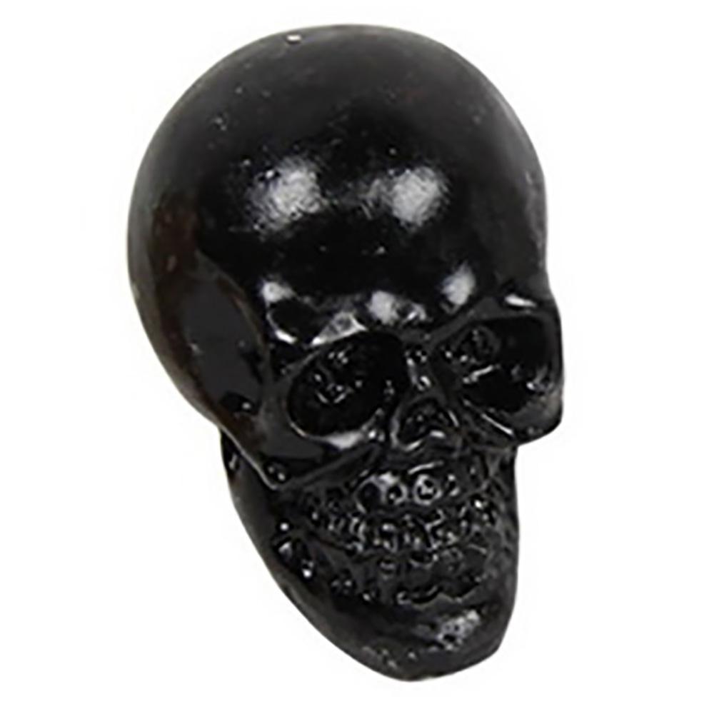 Fairy Gardens Spooky Skulls Black Earth Fairy