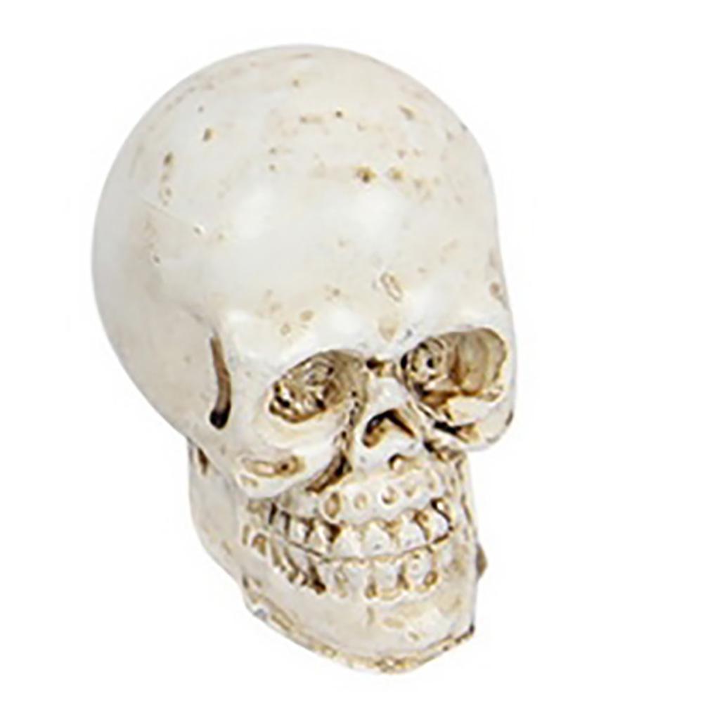 Fairy Gardens Spooky Skulls White Earth Fairy