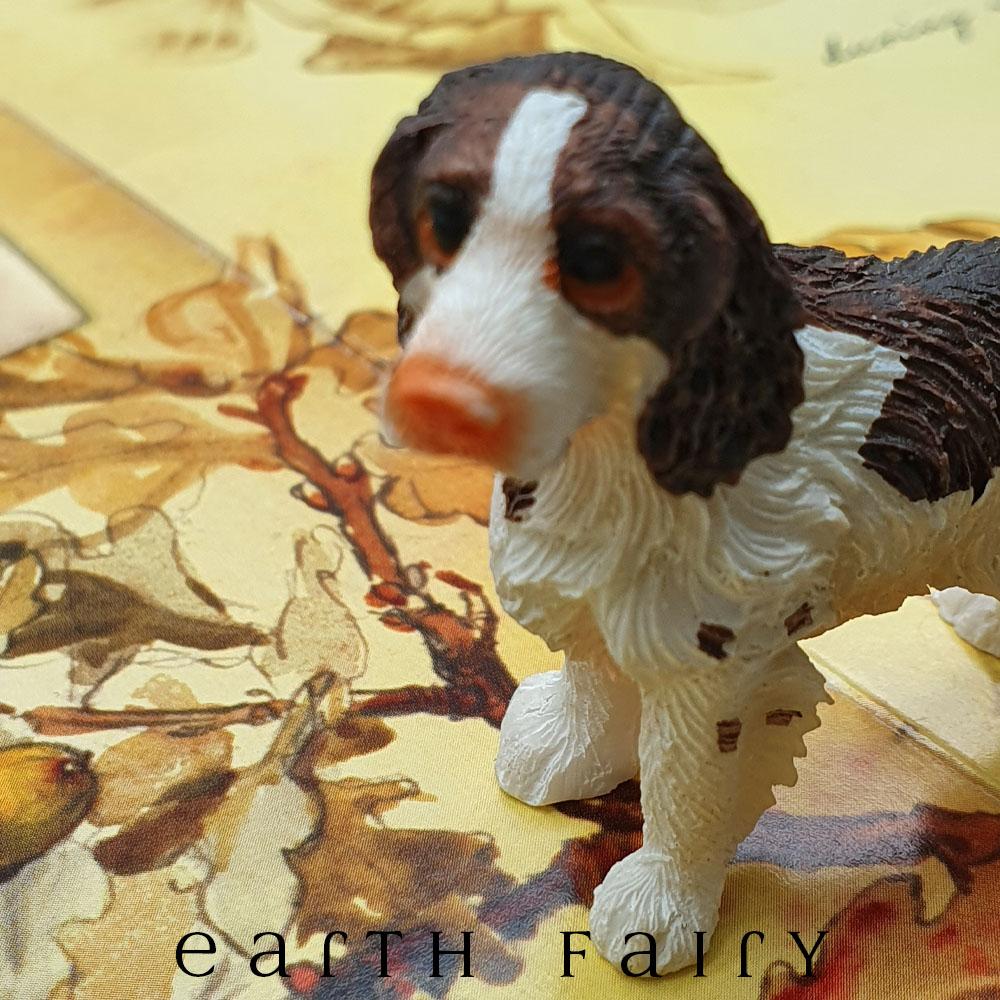 Springer Spaniel - Standing | Fairy Pets &amp; Animals - Australia | Earth Fairy