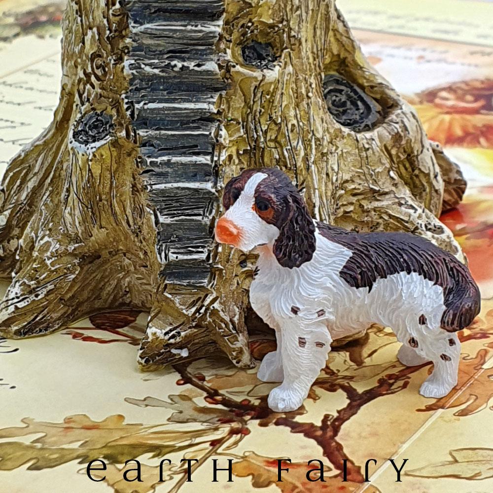 Springer Spaniel - Standing | Fairy Pets &amp; Animals - Australia | Earth Fairy