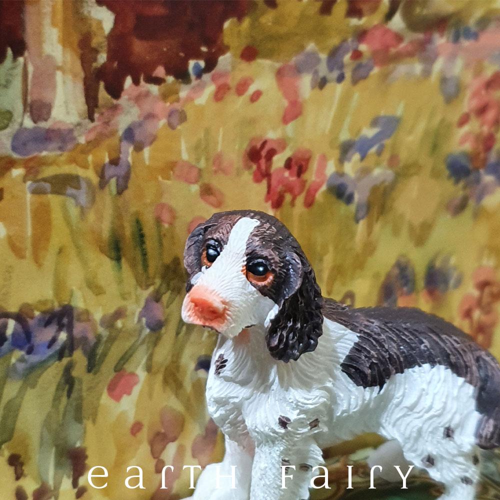 Springer Spaniel - Standing | Fairy Pets &amp; Animals - Australia | Earth Fairy