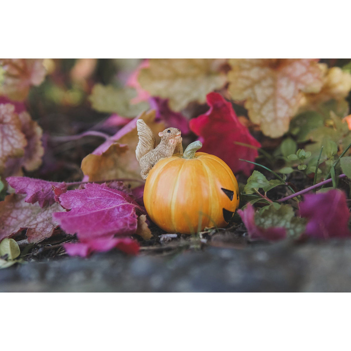 Squirrel on Jack o&#39; Lantern | Fairy Garden Animals - Australia | Earth Fairy