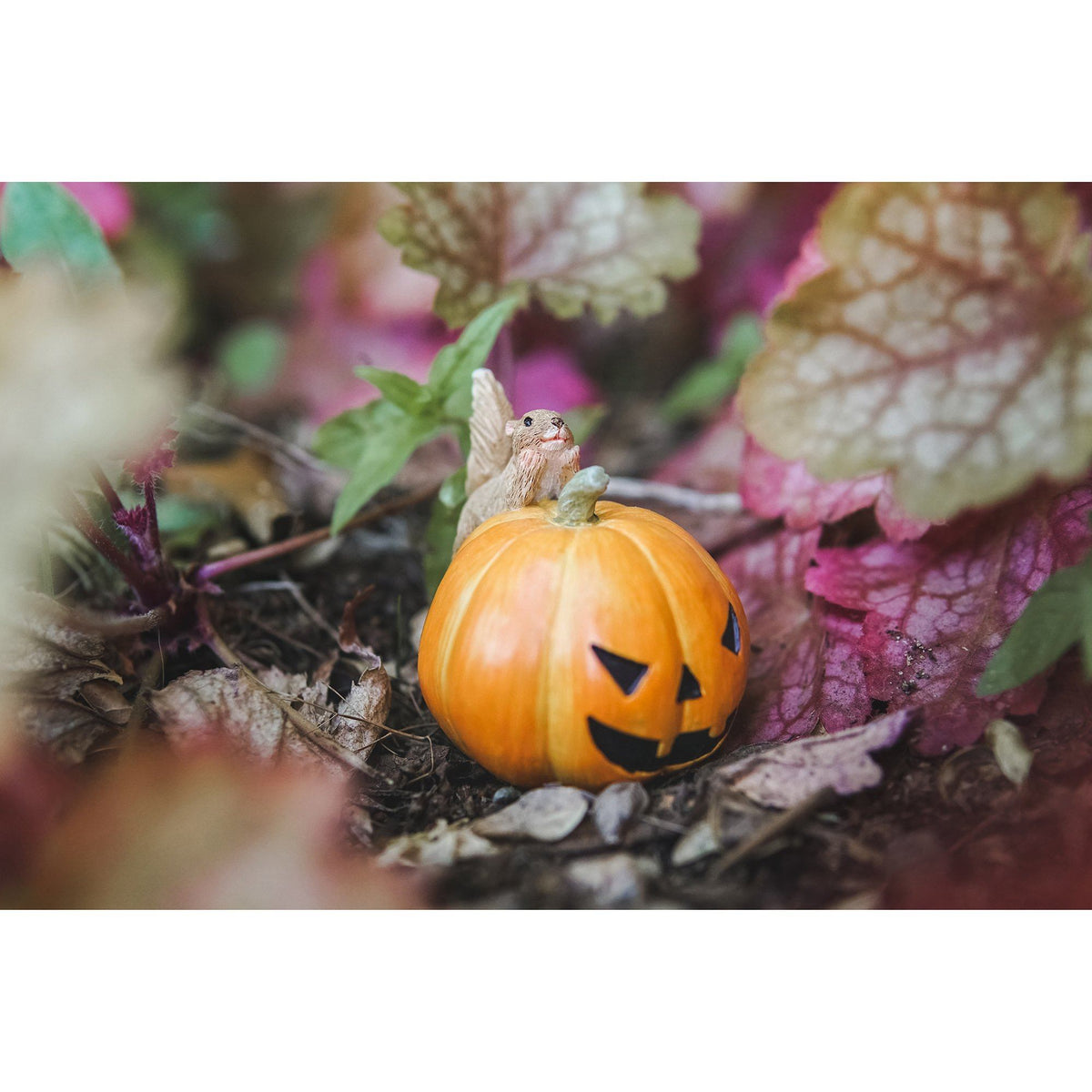 Squirrel on Jack o&#39; Lantern | Fairy Garden Animals - Australia | Earth Fairy