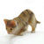 Miniature Tabby Cat Figurines - Set of 5