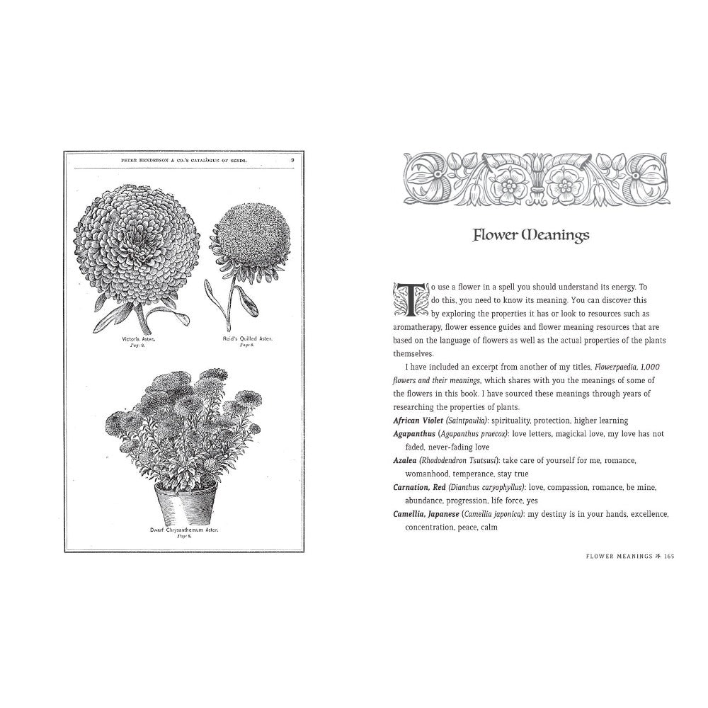 The Book of Flower Spells | Fairy Inspired Books - Australia | Earth Fairy