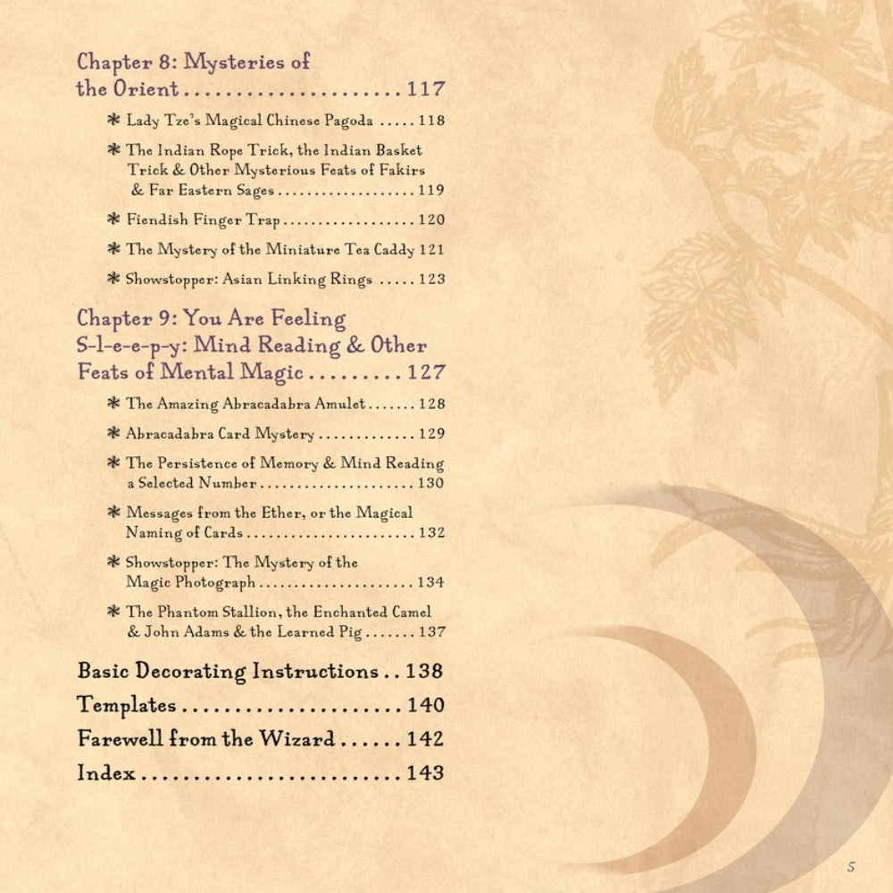 The Book of Wizard Magic Books &amp; Stationery Earth Fairy 