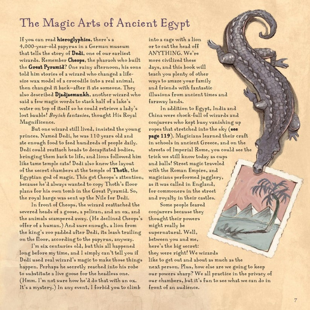 The Book of Wizard Magic Books &amp; Stationery Earth Fairy 