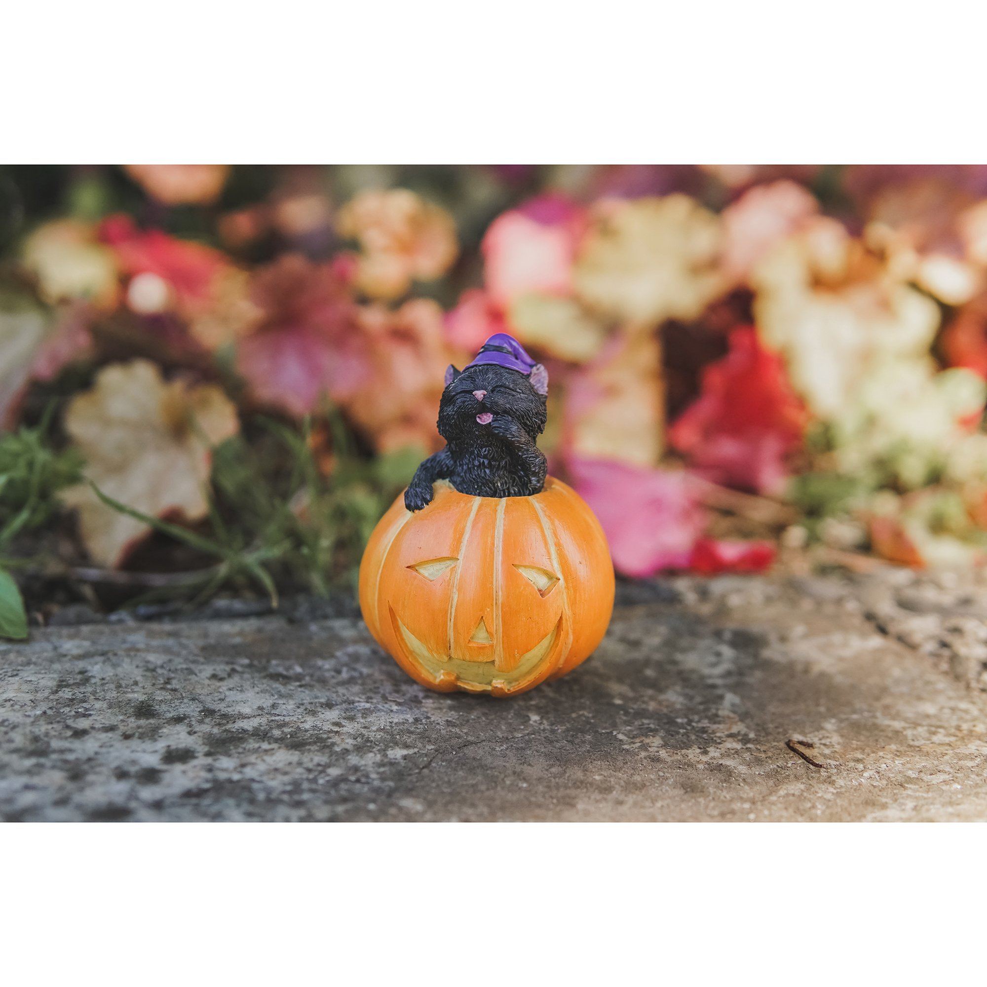 The Witch's Black Cat in a Jack o' Lantern | Fairy Garden Animals - Australia | Earth Fairy