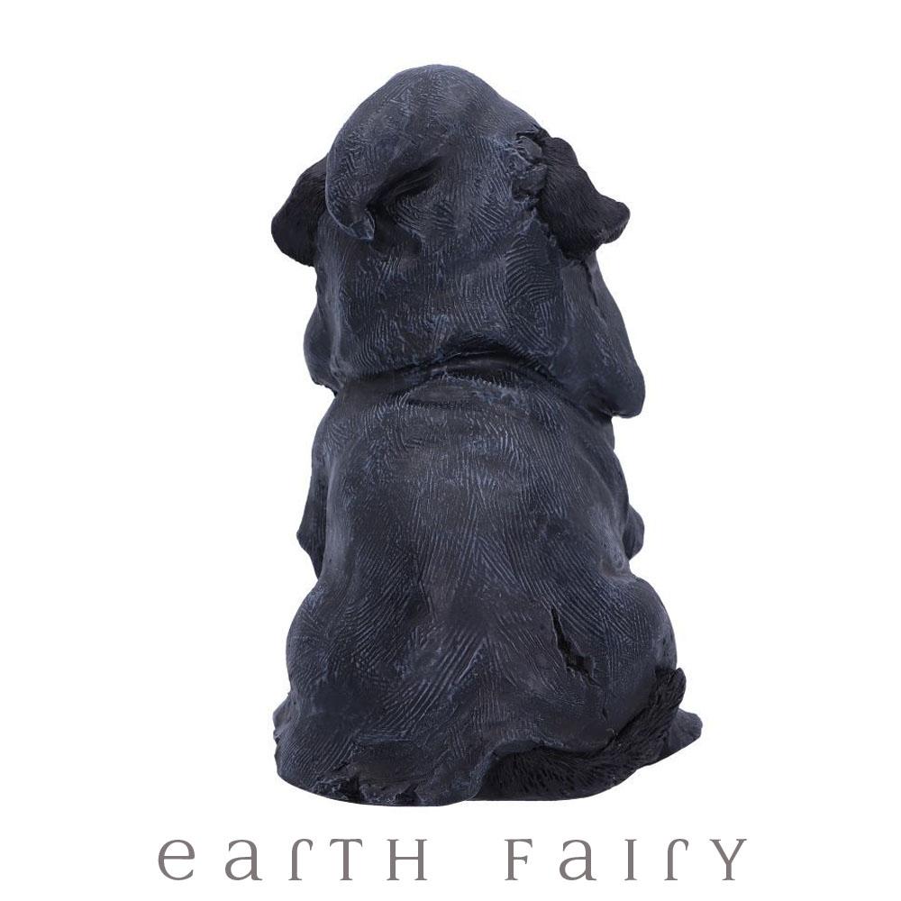 The Witch&#39;s Dog Statues &amp; Ornaments Earth Fairy 