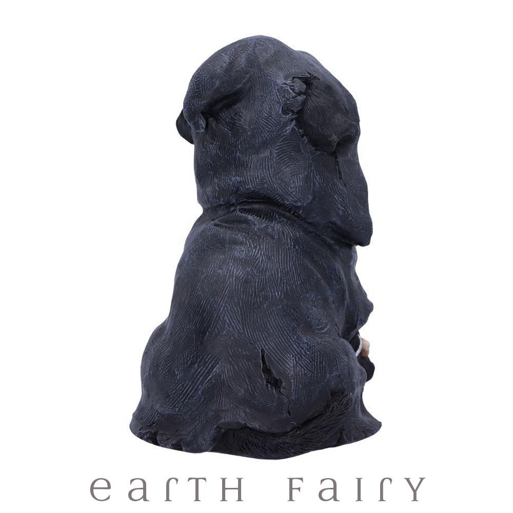 The Witch&#39;s Dog Statues &amp; Ornaments Earth Fairy 