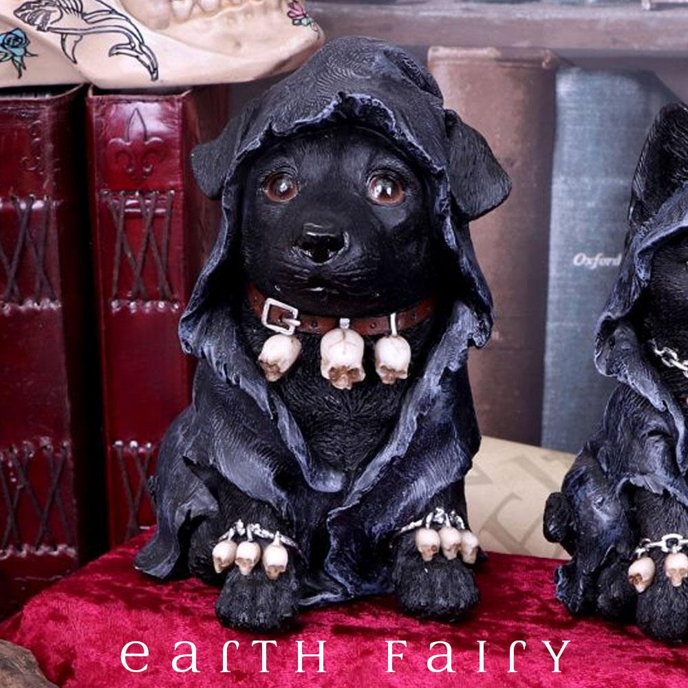 The Witch's Dog Statues & Ornaments Earth Fairy 