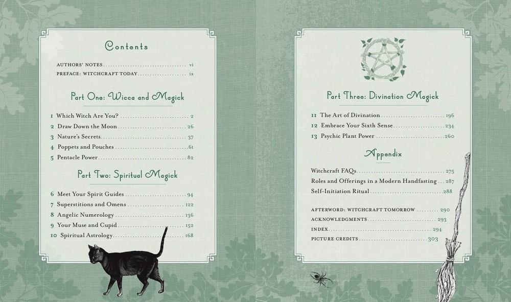 The Witch&#39;s Way - A guide to modern day spellcraft, nature magick and divination by Shawn Robbins &amp; Leanna Greenaway