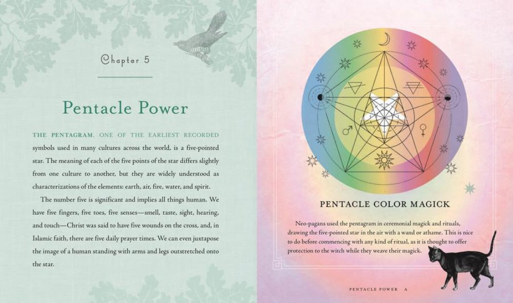 The Witch&#39;s Way - A guide to modern day spellcraft, nature magick and divination by Shawn Robbins &amp; Leanna Greenaway