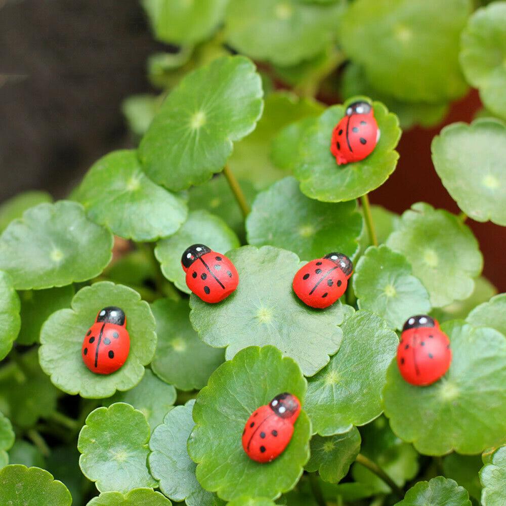 Tiny Ladybird Fairy Garden Animals Earth Fairy 