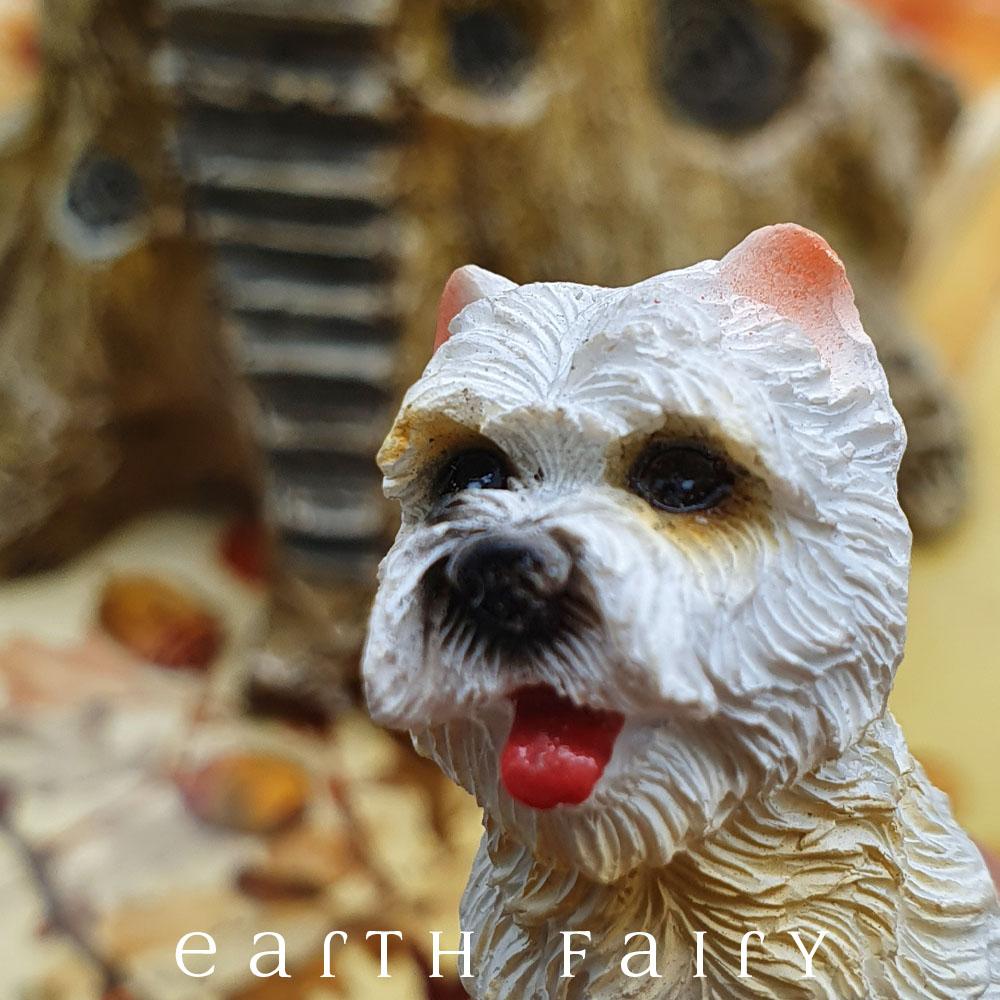 Westie - Sitting | Fairy Gardens - Australia | Earth Fairy