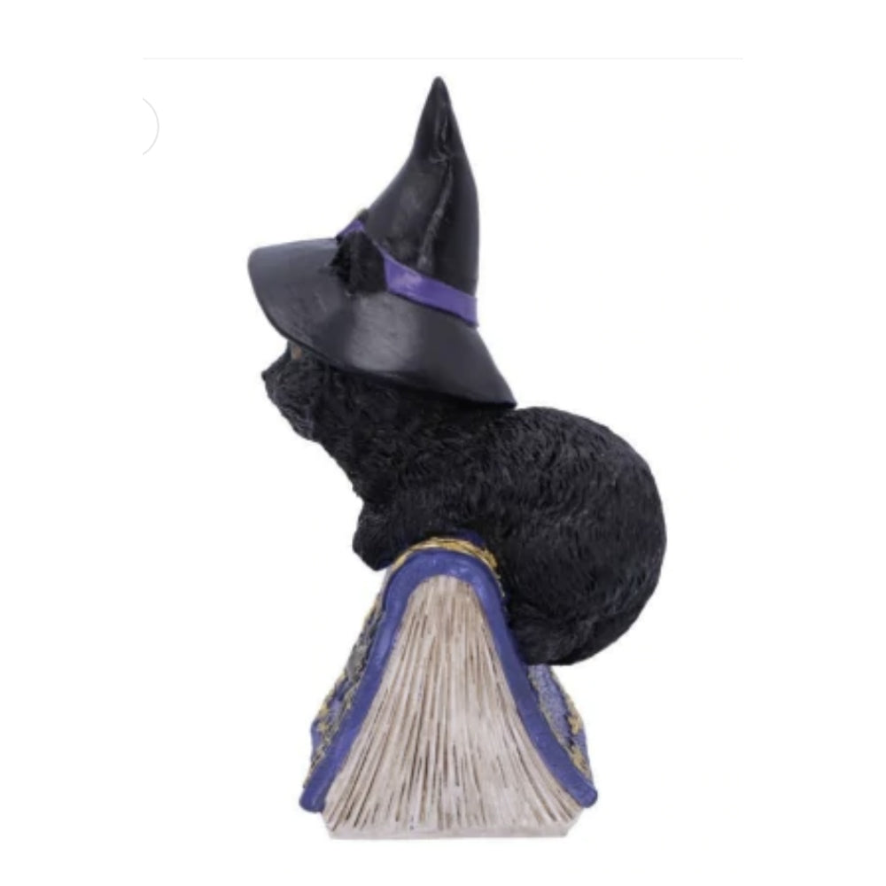 Witchy Cats with Spell Books - Set of 2