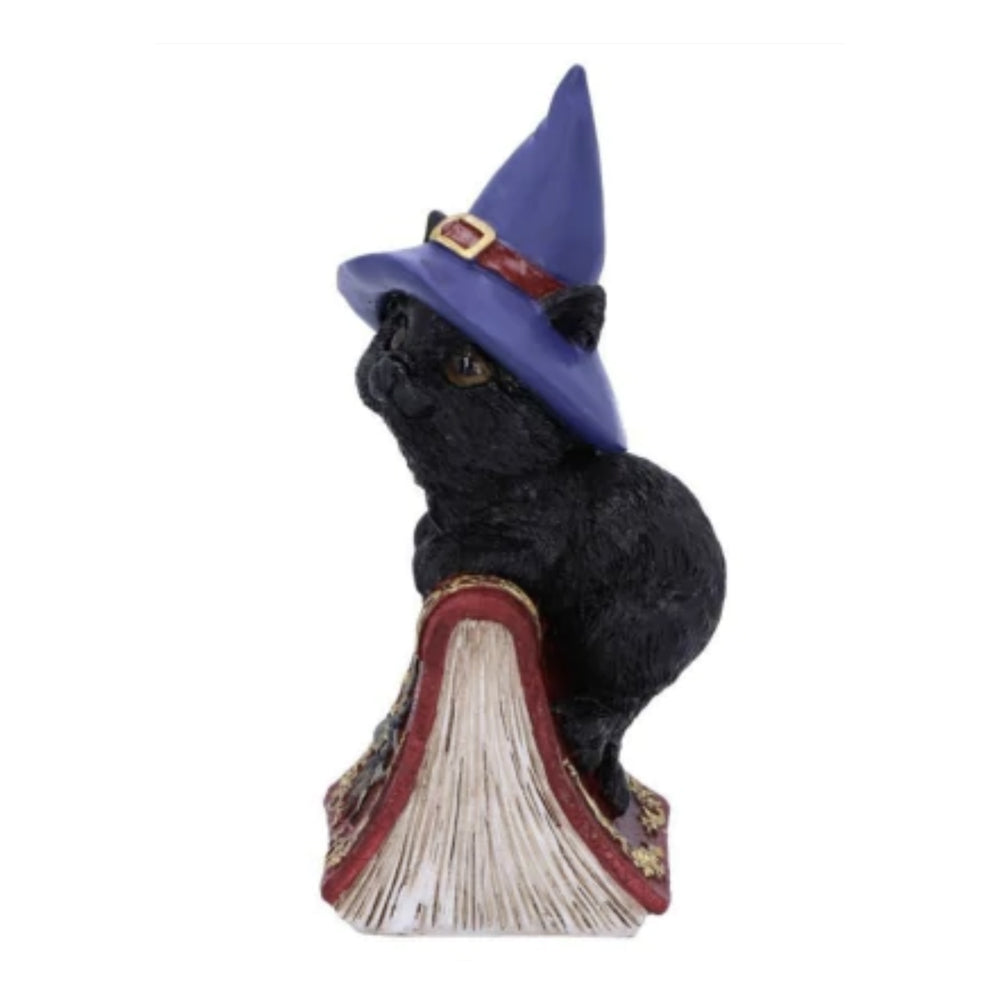 Witchy Cats with Spell Books - Set of 2