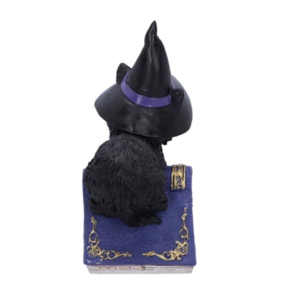 Witchy Cats with Spell Books - Set of 2