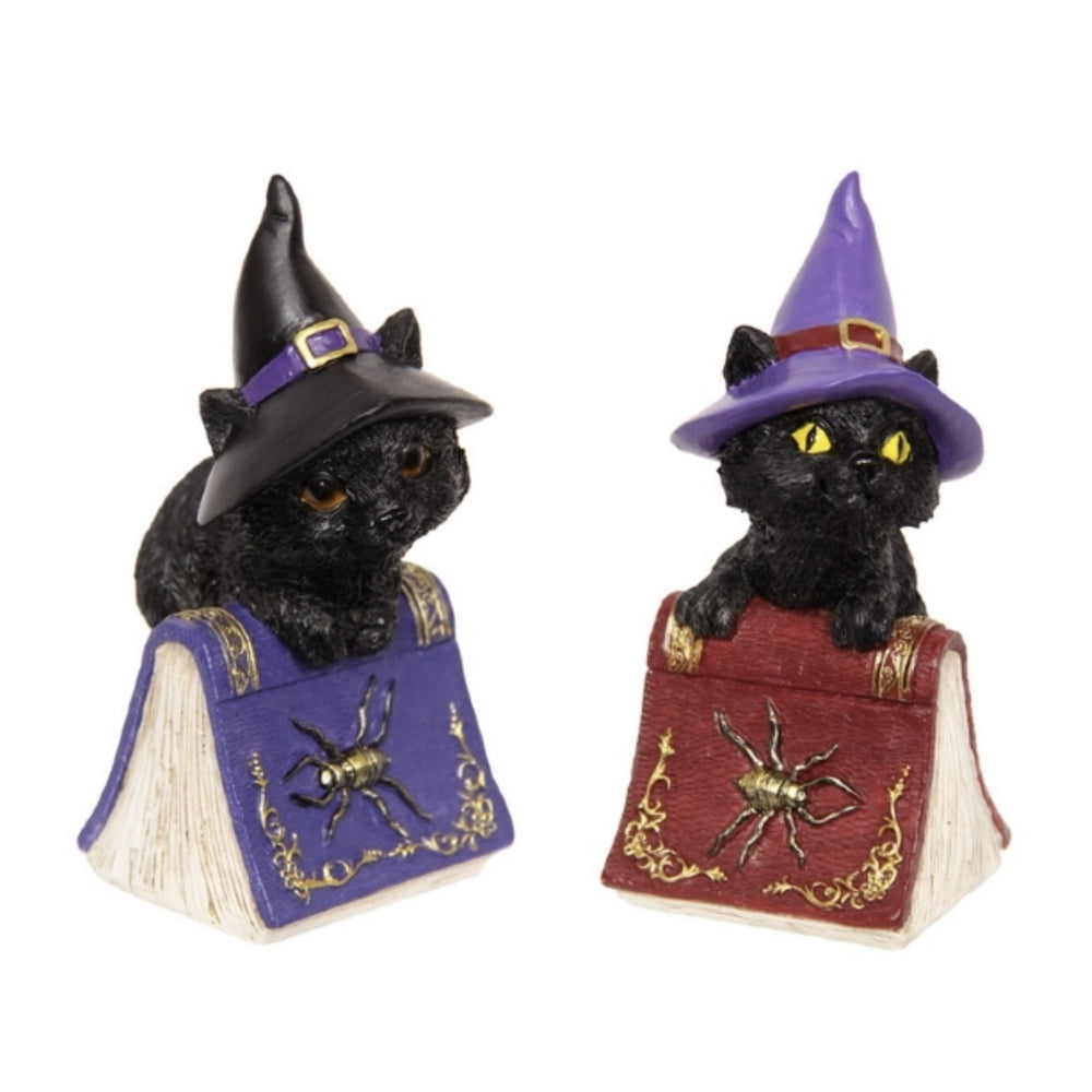 Witchy Cats with Spell Books - Set of 2