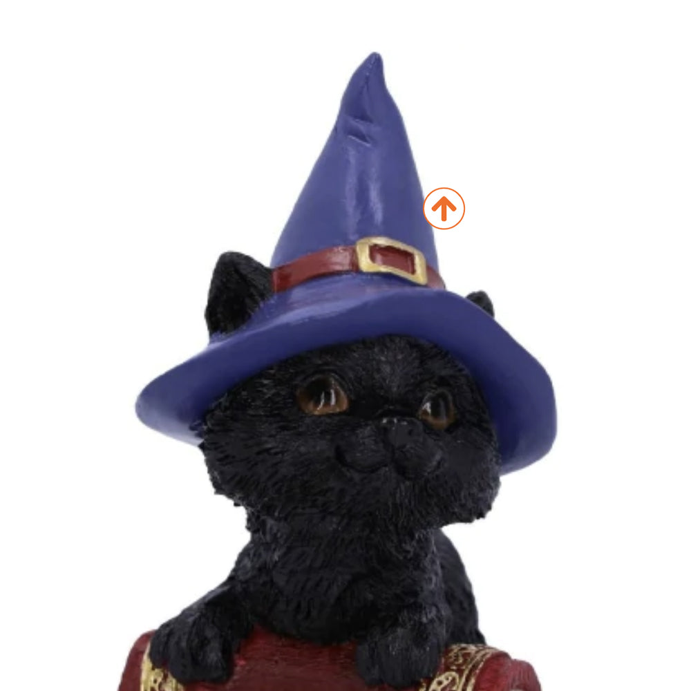 Witchy Cats with Spell Books - Set of 2