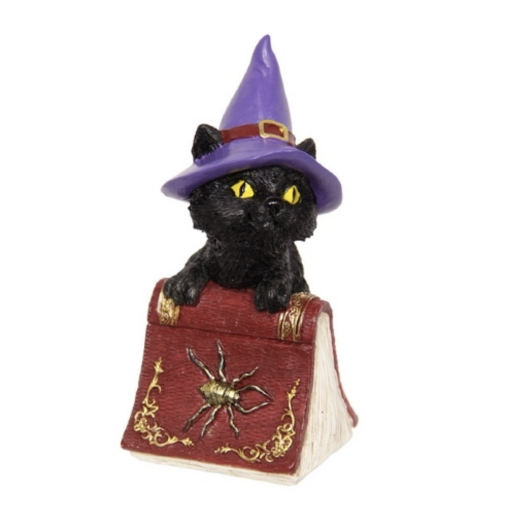 Witchy Cats with Spell Books - Set of 2