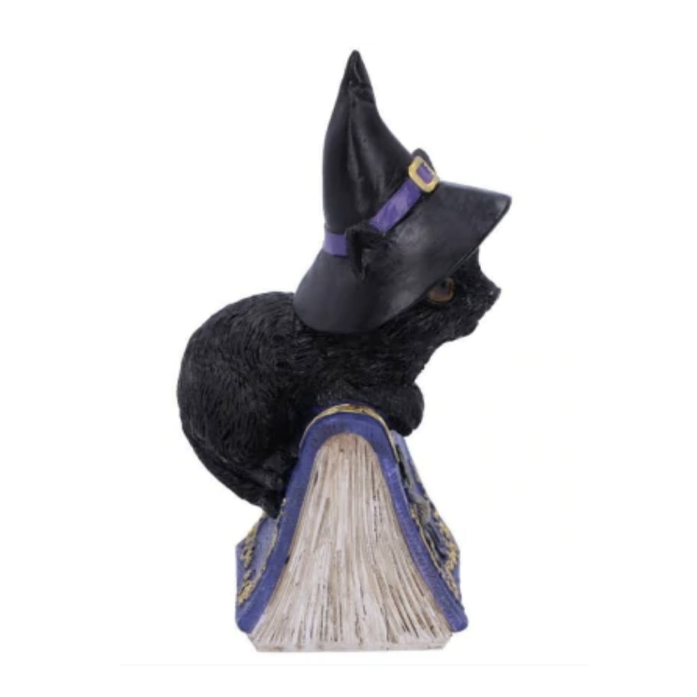 Witchy Cats with Spell Books - Set of 2