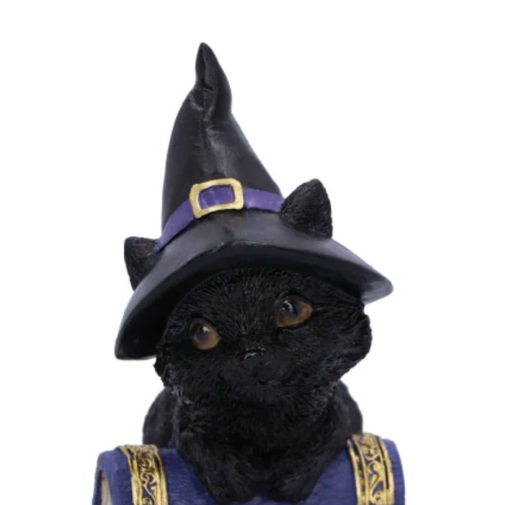 Witchy Cats with Spell Books - Set of 2