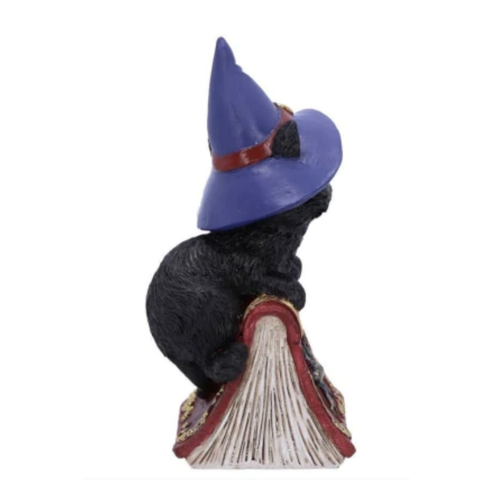 Witchy Cats with Spell Books - Set of 2