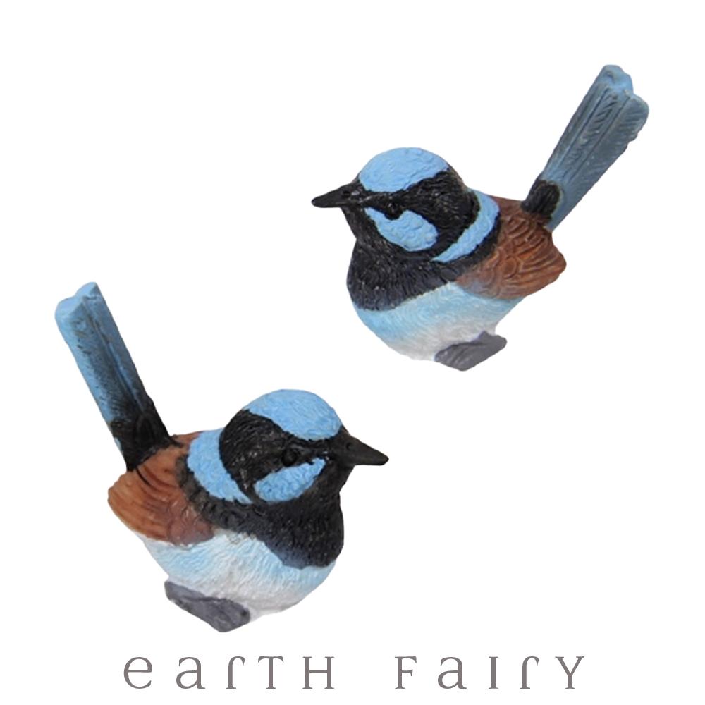 Wrens - Set of 2 from the Fairy Garden Miniatures &amp; Collectibles Collection (Australia) by Earth Fairy